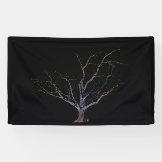 Dark Side 2 bnrcnm Banner (Horizontal)