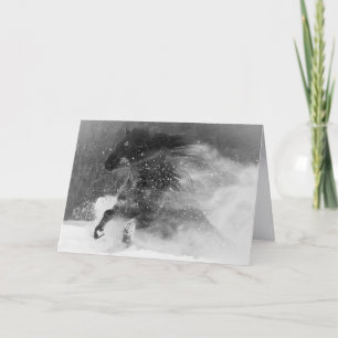Dark Snow Horse - Grußkarte für Pferdefreunde Karte