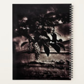 Dark Spring Planer (Rückseite)