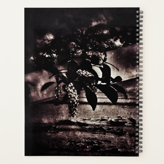 Dark Spring Planer (Rückseite)