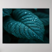 Dark Teal Macro Leaf With Rain Water Droplets Poster (Vorne)