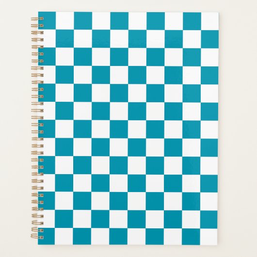 Dark turquoise checkered  planer (Vorderseite)