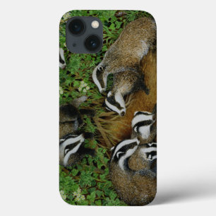 Darlegung iPhone 13 Hülle