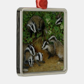 Darlegung Silbernes Ornament (Rechts)