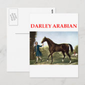 Darley arabian postkarte (Vorne/Hinten)