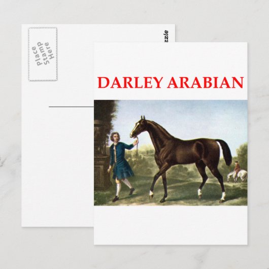 Darley arabian postkarte (Vorne/Hinten)
