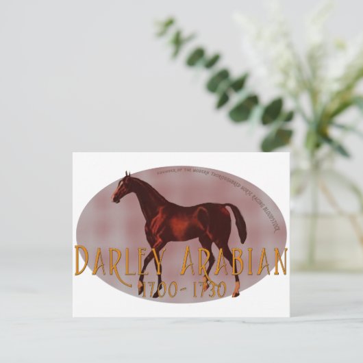 Darley Arabian Postkarte (Stehend Vorderseite)