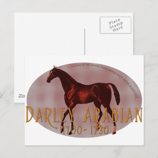 Darley Arabian Postkarte (Vorne/Hinten)