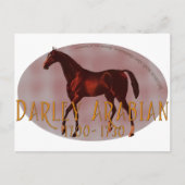 Darley Arabian Postkarte (Vorderseite)