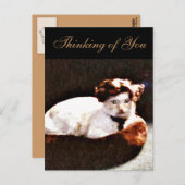 Darling, Cat_ Postkarte (Vorne/Hinten)