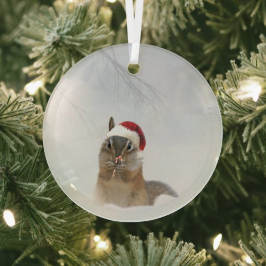 Darling Chipmunk Candy Cane und Weihnachtsmannmütz Ornament Aus Glas (InSitu)