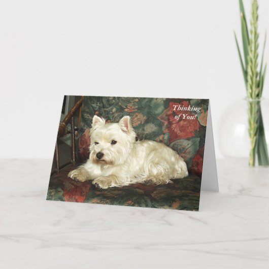 Darling West Highland Terrier Denken Sie an Ihre K Karte (Vorderseite)