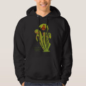 Darlingtonia californica, Fleisch fressende Hoodie (Vorderseite)