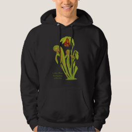 Darlingtonia californica, Fleisch fressende Hoodie
