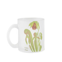 Darlingtonia californica, Fleisch fressende