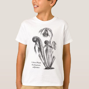 Darlingtonia californica, Fleisch fressende T-Shirt