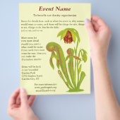 Darlingtonia californica, karnivorische Pflanze Flyer (Hand)