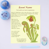 Darlingtonia californica, karnivorische Pflanze Flyer (Einzeln)