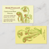 Darlingtonia californica mit Blumen Visitenkarte (Vorne/Hinten)