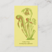 Darlingtonia californica mit Blumen Visitenkarte (Rückseite)