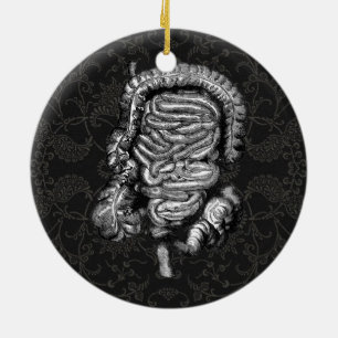 DARM DIAGRAMM VINTAGE KERAMIKORNAMENT