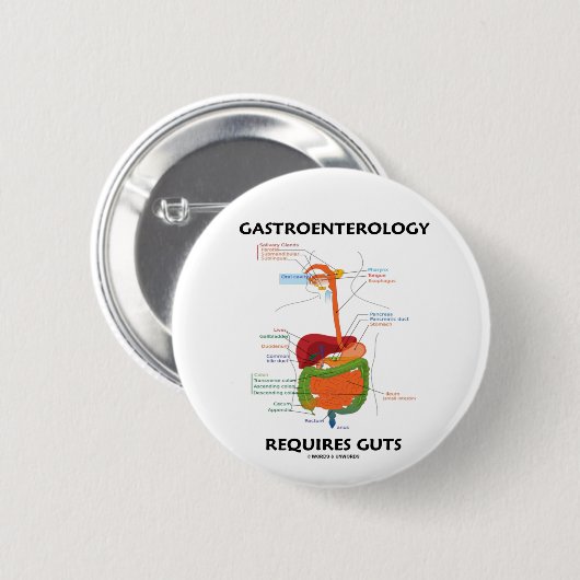 Darmleiden erfordert Eingeweide (Verdauungssystem) Button (Vorne & Hinten)