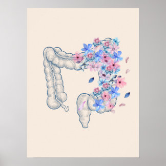 Darmparadoxon Poster