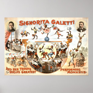Darstellende Affe-Vintages Plakat