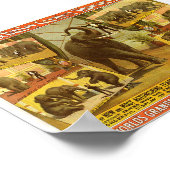 Darstellende Elefanten Barnum & Bailey Circus Post Poster (Ecke)