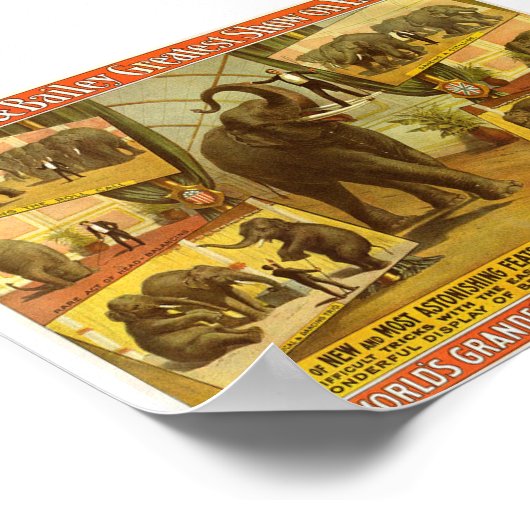 Darstellende Elefanten Barnum & Bailey Circus Post Poster (Ecke)