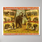 Darstellende Elefanten Barnum & Bailey Circus Post Poster (Vorne)