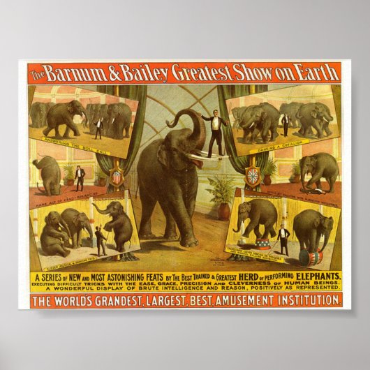 Darstellende Elefanten Barnum & Bailey Circus Post Poster (Vorne)