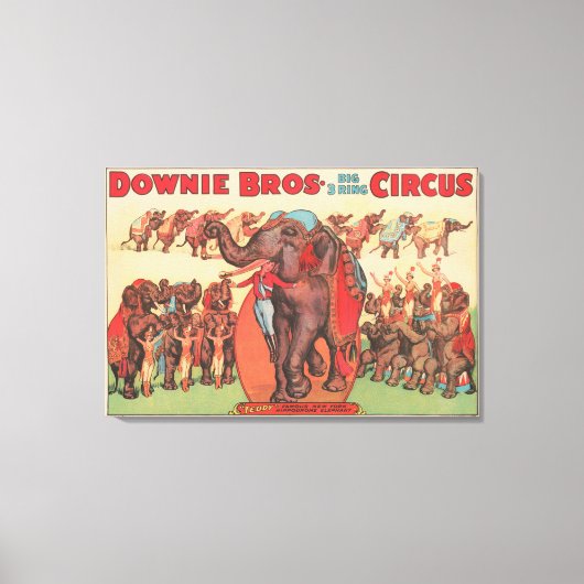 Darstellende Elefanten mit Frauen und Trainer. Leinwanddruck (Vorderseite)