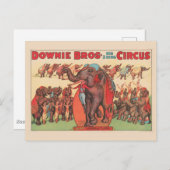 Darstellende Elefanten mit Frauen und Trainer. Postkarte (Vorne/Hinten)