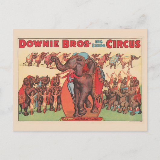 Darstellende Elefanten mit Frauen und Trainer. Postkarte (Vorderseite)