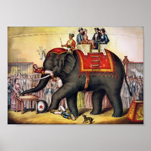 Darstellender Elefant Poster (Vorne)