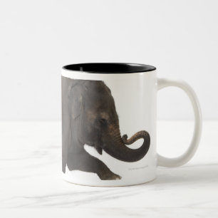 Darstellender Trick des Elefanten auf Kasten Zweifarbige Tasse