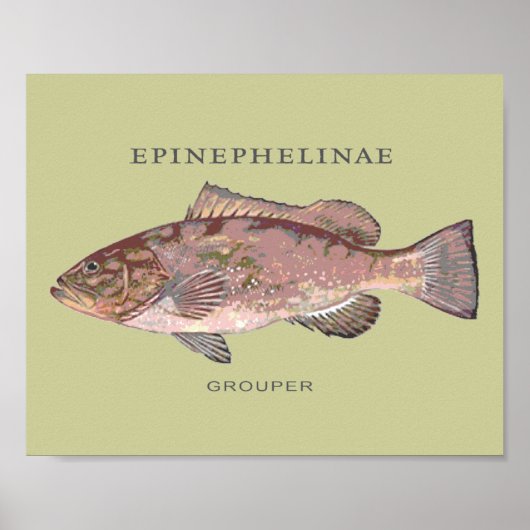 Darstellung der Grouper Fish Poster (Vorne)