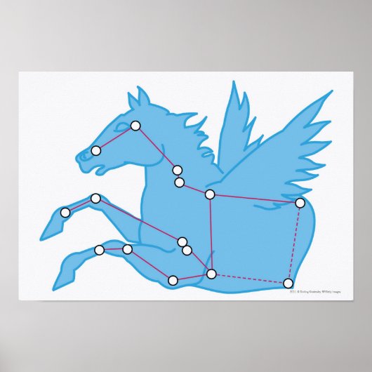 Darstellung der Pegasus-Konstellation Poster (Vorne)