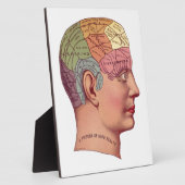 Darstellung der Vintagen Gehirnfunktion Fotoplatte (Seite)