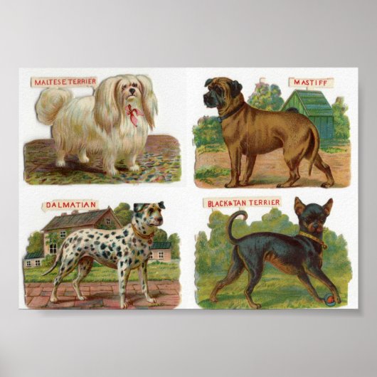 Darstellung der Vintagen Hunde Poster (Vorne)