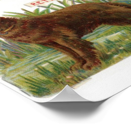 Darstellung der Vintagen Hunde Poster (Ecke)