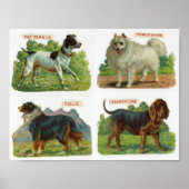 Darstellung der Vintagen Hunde Poster (Vorne)