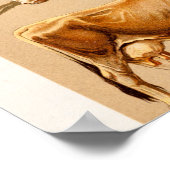 Darstellung der Vintagen Kühe Kalf Bull Milchkühe Poster (Ecke)