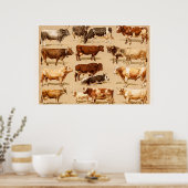 Darstellung der Vintagen Kühe Kalf Bull Milchkühe Poster (Küche)