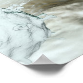 Darstellung der Vogelgrippezellen Poster (Ecke)