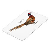 Darstellung des Cartoon mit Ringhals Magnet (Linke Seite)