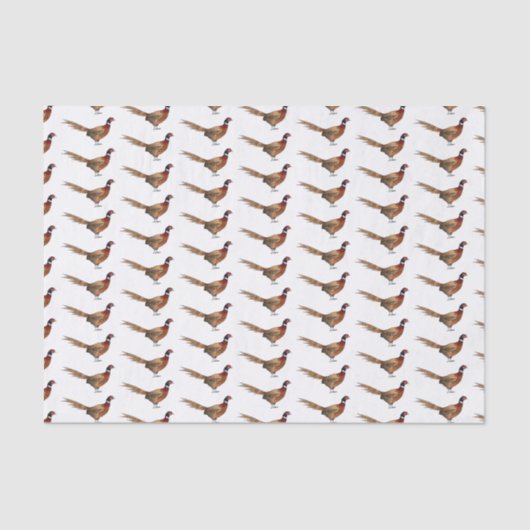 Darstellung des Cartoon mit Ringhals Seidenpapier (Vorderseite)