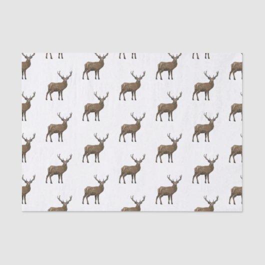 Darstellung des Cartoon Seidenpapier (Vorderseite)