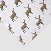 Darstellung des Cartoon Seidenpapier (Ausschnitt)